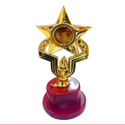 1720440098-h-250-Trophy 36 300X300.jpg
